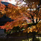 鹿児島神社の紅葉