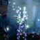 神戸のX'mas