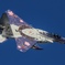 2024 百里基地航空祭　F-15