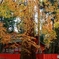 水谷茶屋の紅葉　７