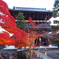 京紅葉2024＿金戒光明寺01　夕暮れの山門