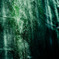A certain scenery067