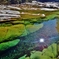 第三千八百十一作　「陽を吸へば　澄み切つて　水底の木の葉」　愛媛県面河