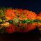 好古園ライトアップ　「紅葉会」