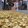 花園神社