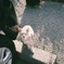 ねこ
