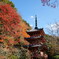 三室戸三重塔