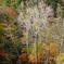 北海道・東北巡業-23 　怪我の巧妙