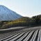 羊蹄の山麓（農業の営み）
