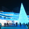 クリスマスに浸る