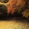 黄色の舞台 奥
