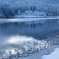 Winter landscape