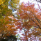 DSCF2867