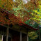 紅葉の金勝寺