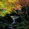 成田山公園　