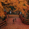 紅葉色の橋