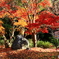 石上神宮外苑公園の紅葉　２