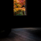 紅葉堂