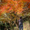 息子くん紅葉撮る！