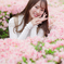 春を召す