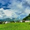 大山の夏