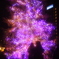 恋人たちのクリスマス