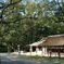 大三島の大山祇神社