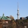 寛永寺と東京スカイツリー