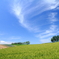 夏空