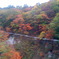 仙山線からみた紅葉