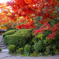 詩仙堂 紅葉 9