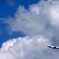 真っ青な空に向かって