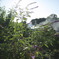 photo_1275923