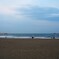 海