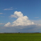 見上げる雲