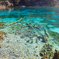 colorful lake