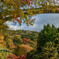 橋の下の紅葉