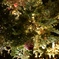 クリスマスイルミネーション