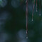 Drops