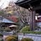 晩秋の鎌倉海蔵寺Ⅱ