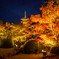 東寺 ライトアップ 5