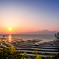 菜の花と夕日に染まる御輿来海岸