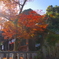 大石神社の紅葉