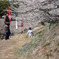 2009白梅