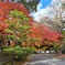 紅葉ｯ