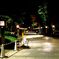 夜明けの参道