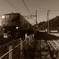 IMGP5385