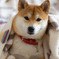 あったかいね