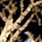 P1063556