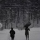Play sledding in the heavy snow
